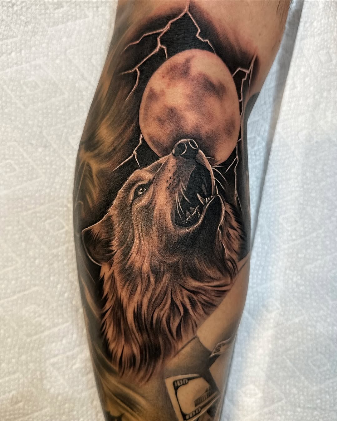 Animal, 멧돼지