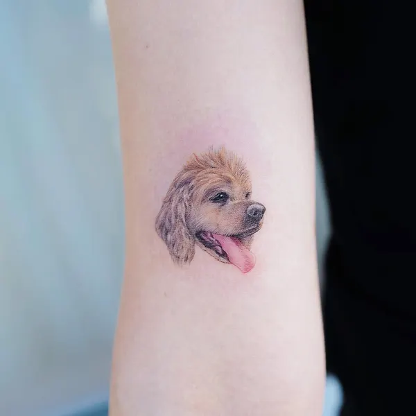 Animal, 강아지, 반려동물 추모, 반려동물