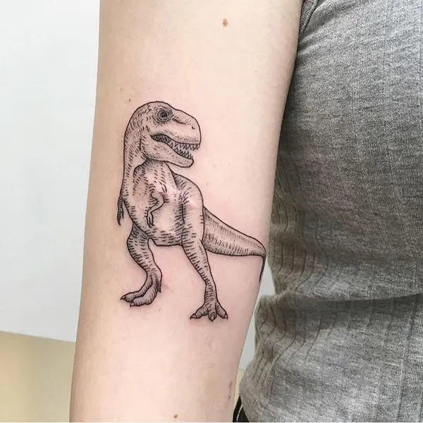 책, Nature, 게임, 풍경, 트럼프 카드, 주사위