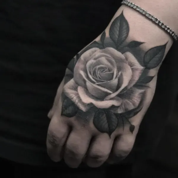 Flower, Rose