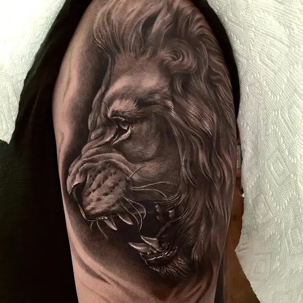 Tiger, 사자
