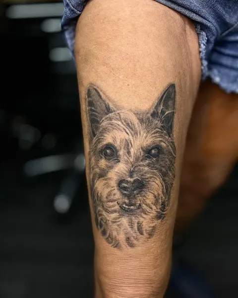 radiaztattoos