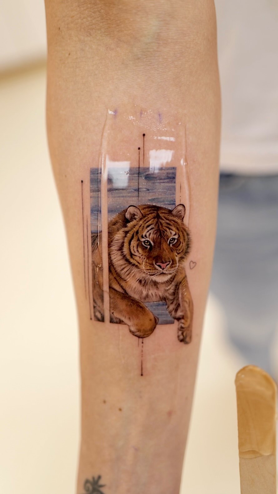Tiger, 중국 호랑이