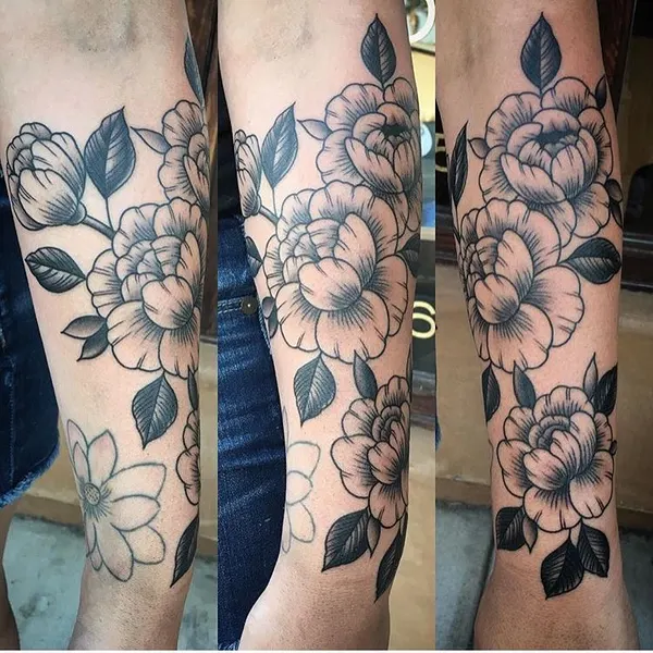 Flower, Rose