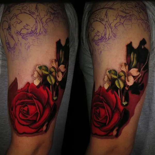 Flower, Rose