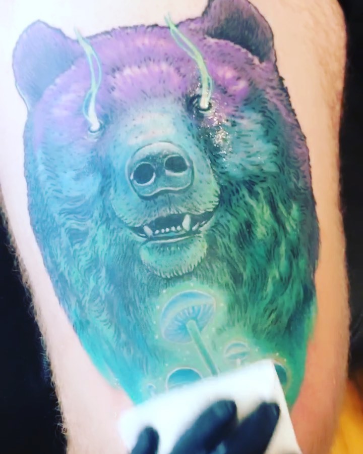 Animal, 곰