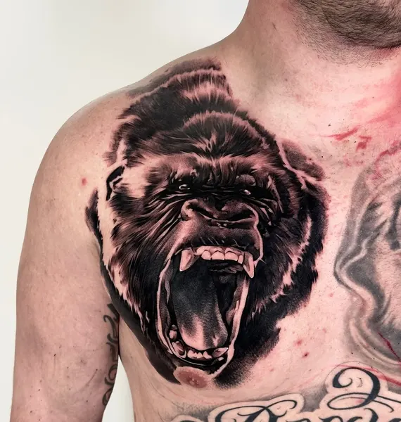 Animal, Tiger, 고릴라