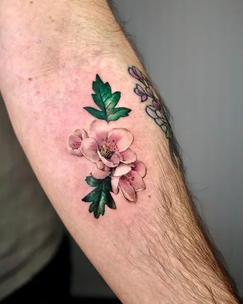 Flower, Rose, 벚꽃, 매화