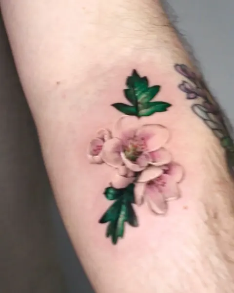 Flower, Rose, 벚꽃, 매화