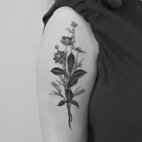 Flower, Rose, Nature
