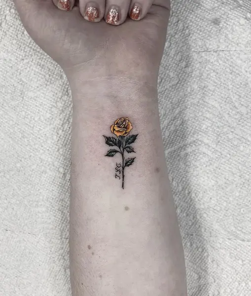 Flower, Rose