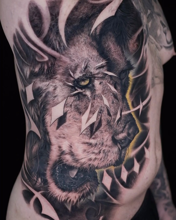 Tiger