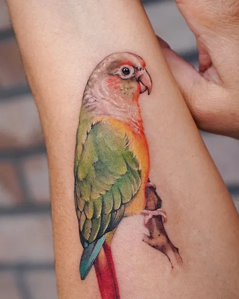 Animal, 앵무새, 공작