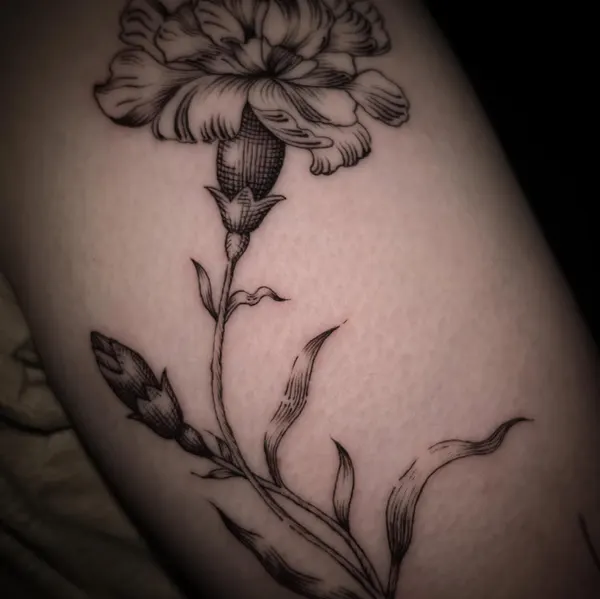 Rose, Flower