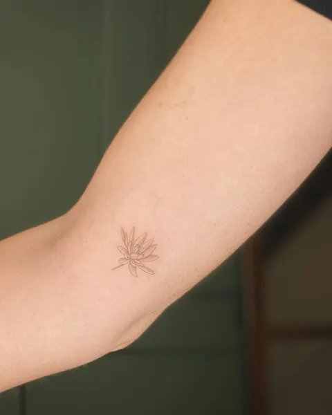 Nature, Mini, 단풍잎, 데이지, 민들레, 산호, 해바라기