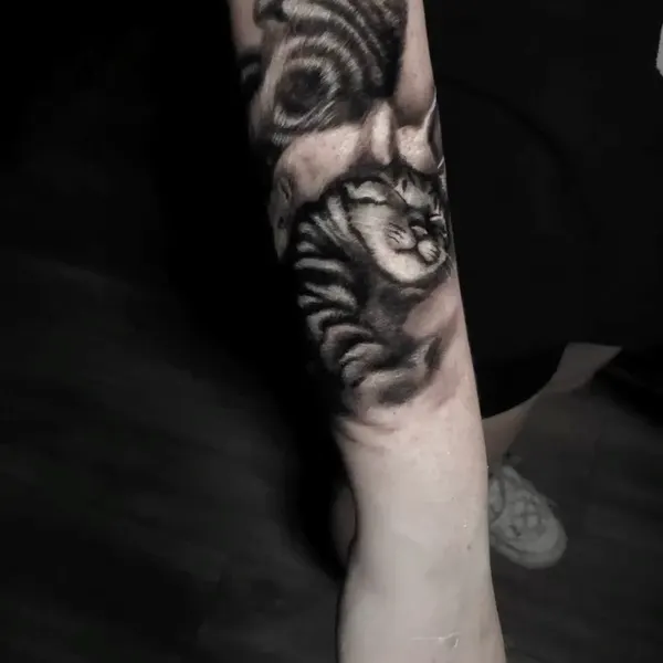 Animal, Tiger