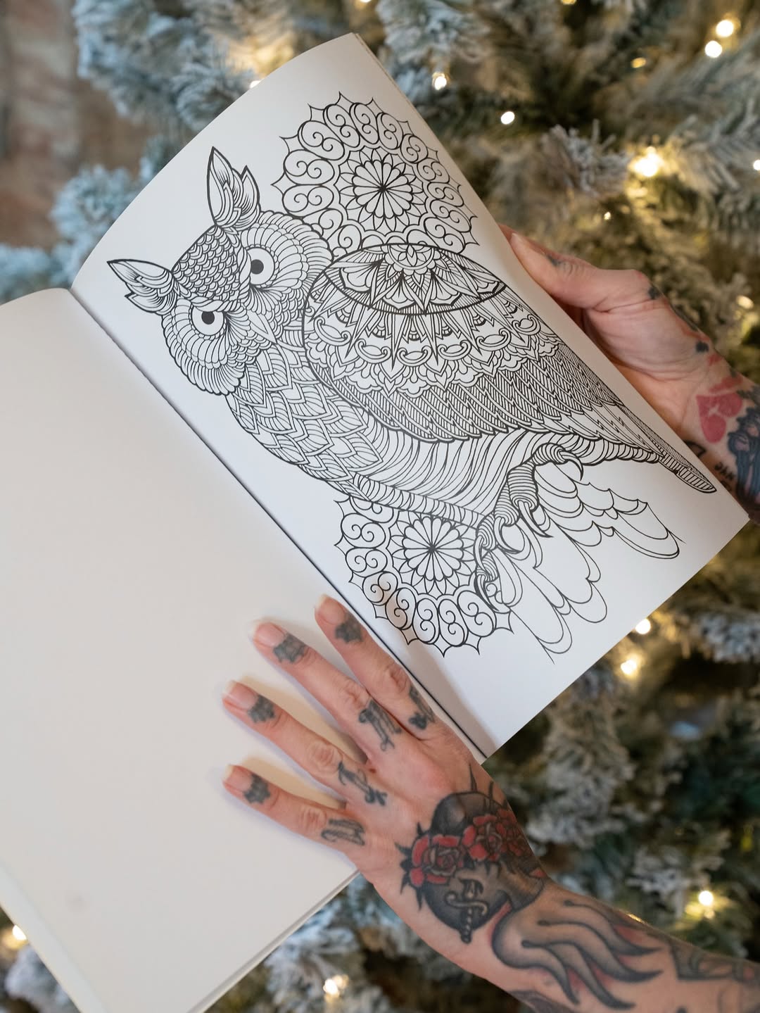 megan_massacre