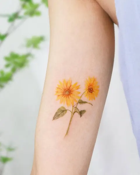 Flower, 아이리스, 백합, 난초, 튤립