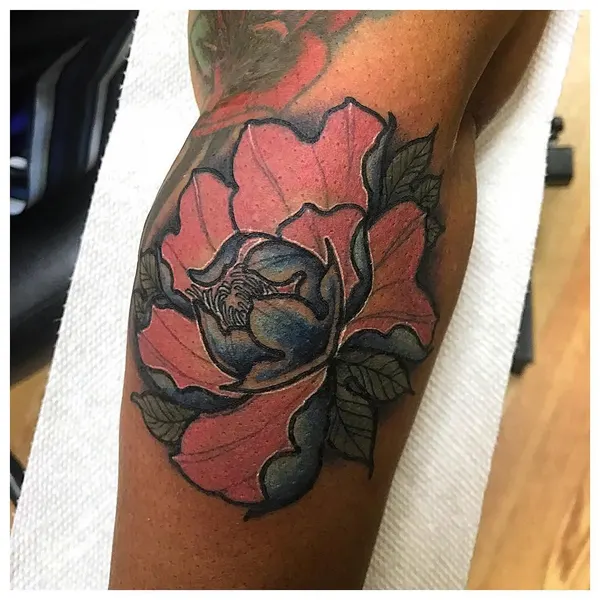Flower, Rose
