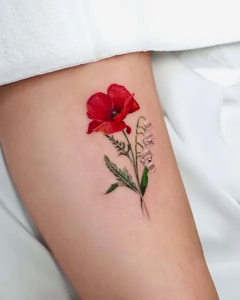 Flower, Rose, 양귀비