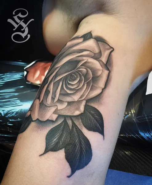 Flower, Rose