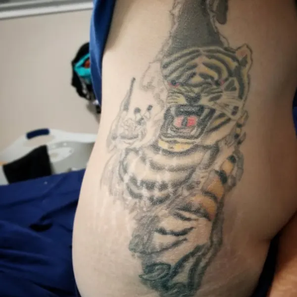 Tiger