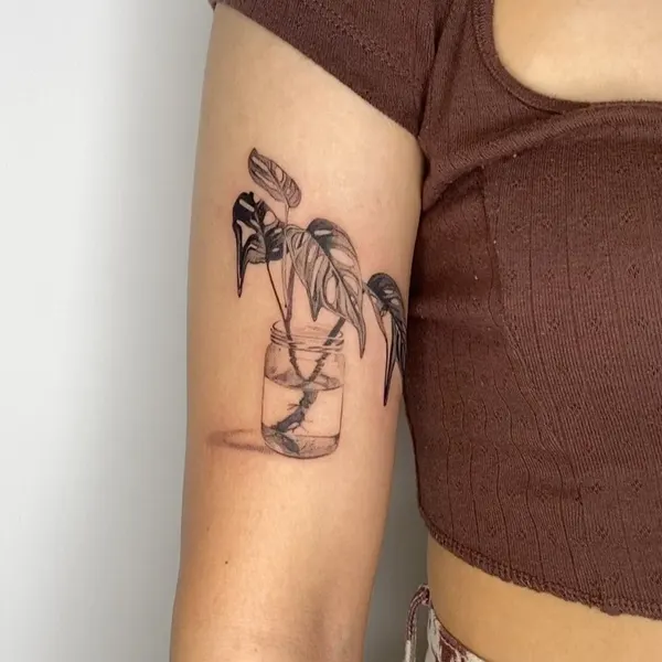 Flower, Rose, Nature