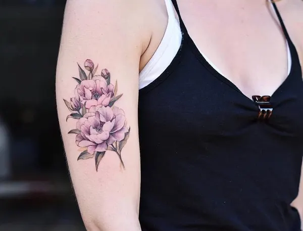 모란, 목련, Flower, Rose