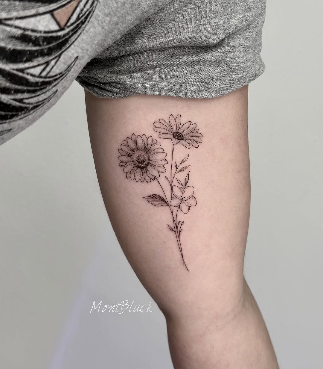 Flower, Rose, 수국, 야생화, 허브, 라벤더, 민들레
