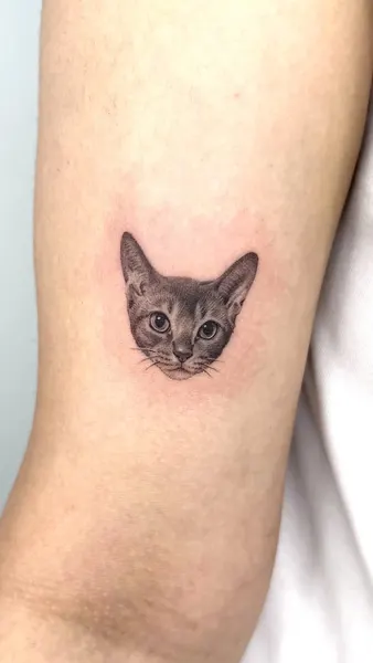 고양이, 여우 가면