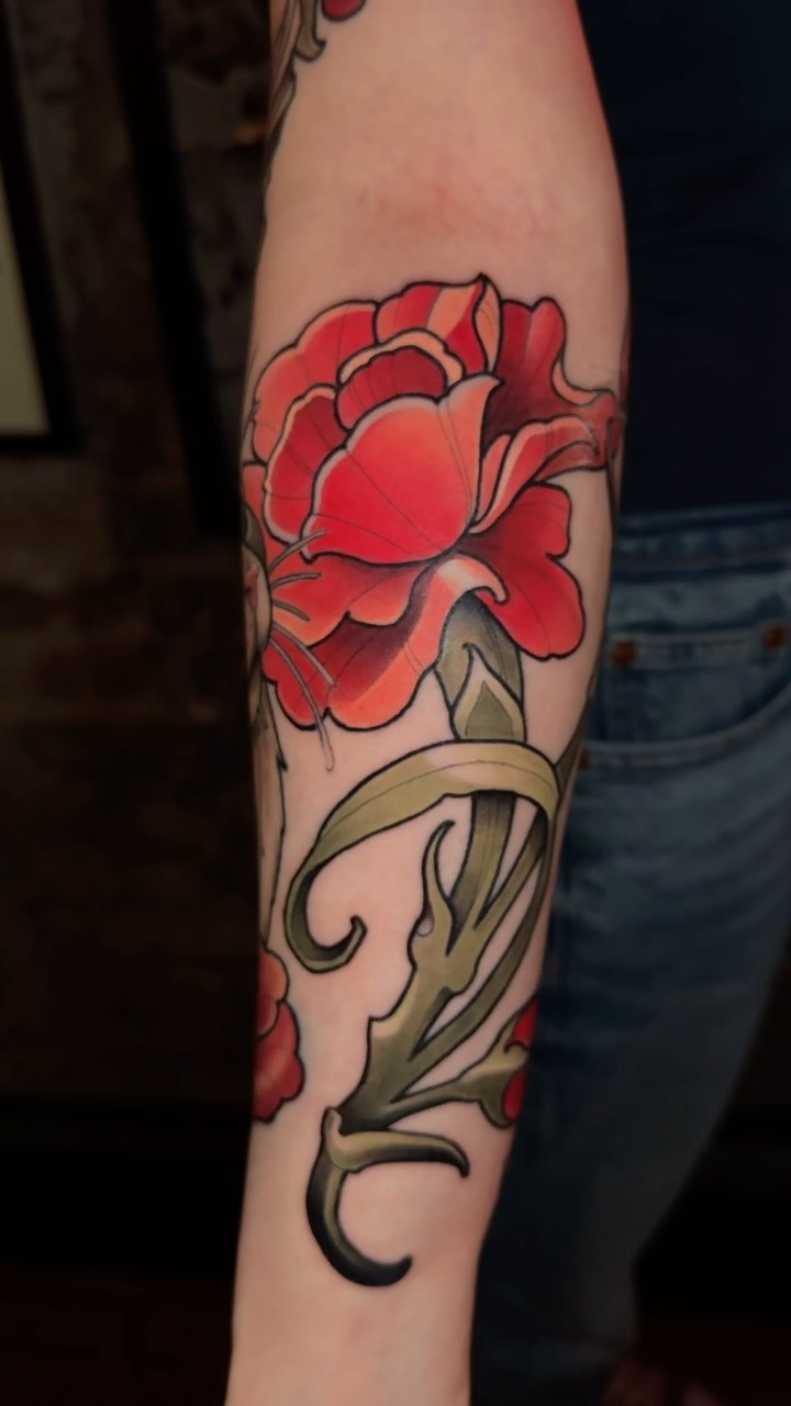 Flower, Rose