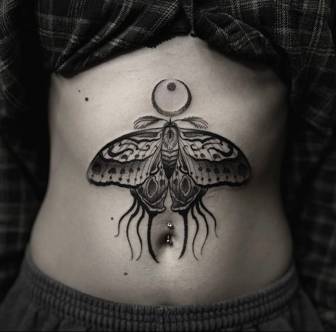 Animal, Nature, 딱정벌레