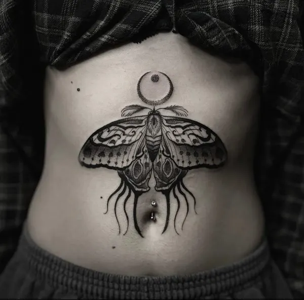 Animal, Nature, 딱정벌레