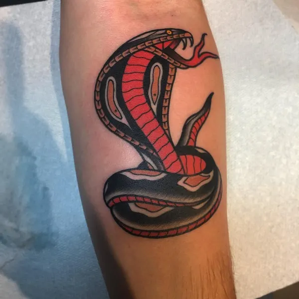 Dragon, Snake
