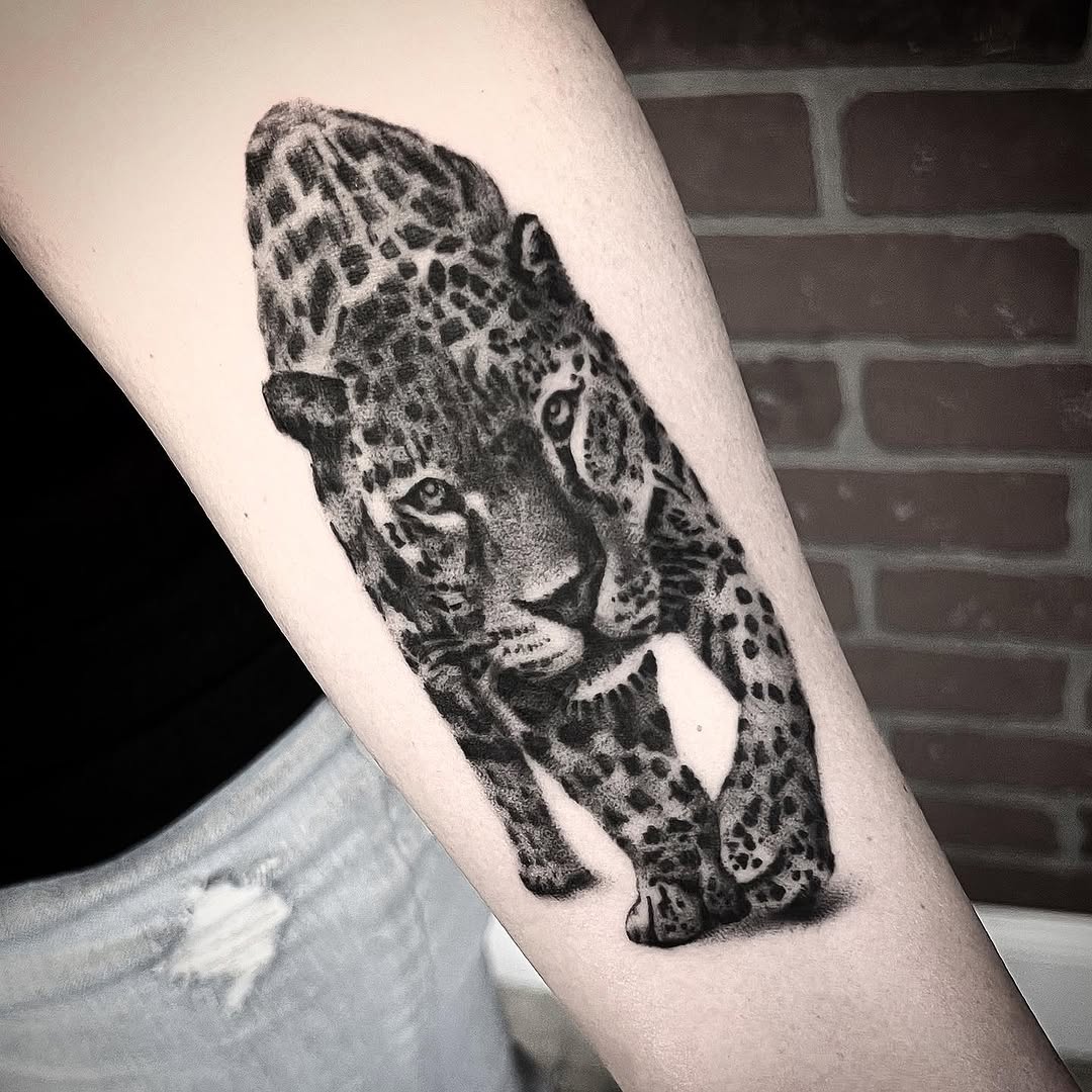 Animal, 표범, 재규어