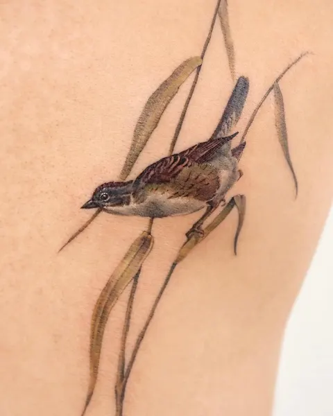 Animal