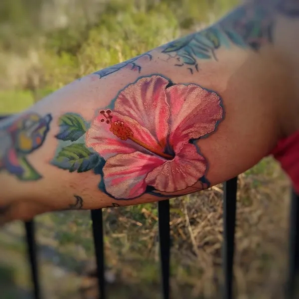 Flower, Nature, 탄생화, 히비스커스, 난초