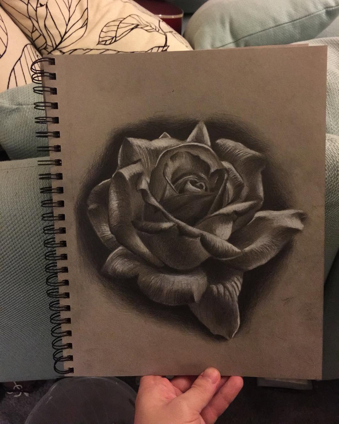 Flower, Rose