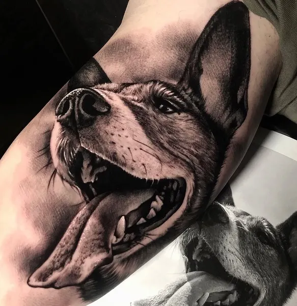 inknationstudio