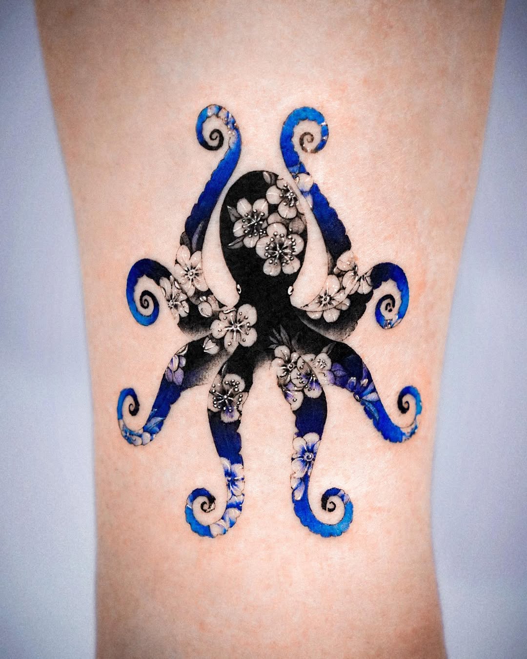 Animal, 문어, 크라켄, 오징어