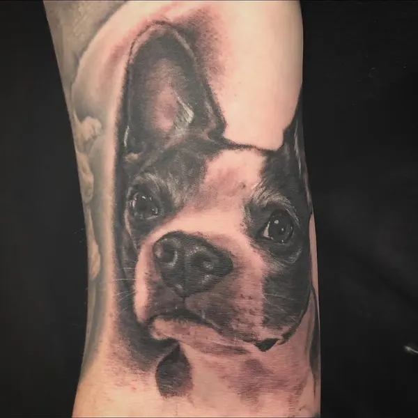 Animal