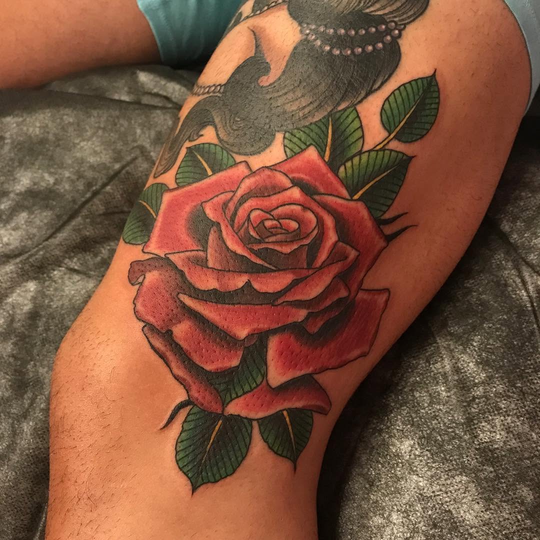 Flower, Rose
