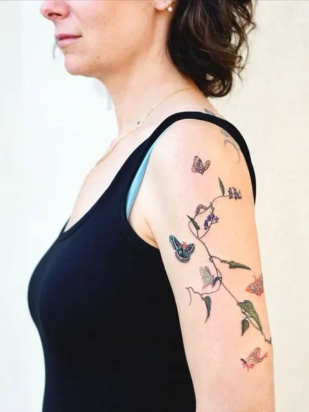 Flower, Animal, Rose, Nature