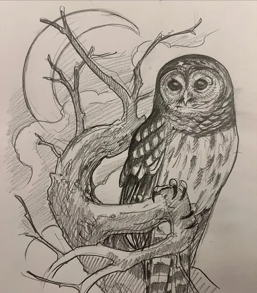Animal