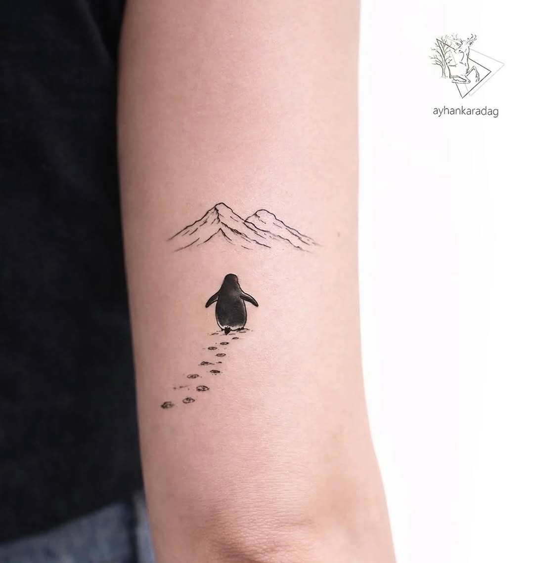 Nature, 눈, 실루엣