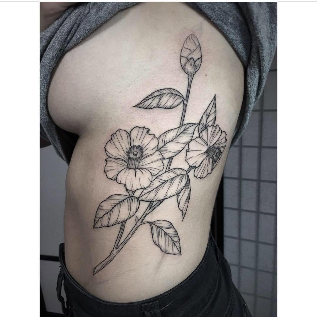 Flower, Rose, Nature