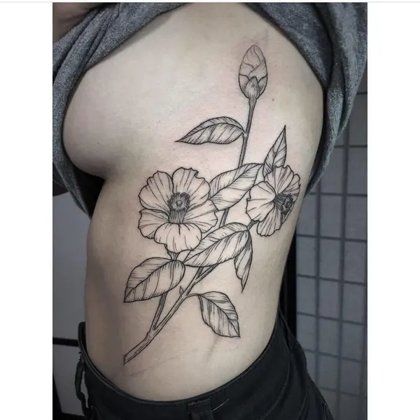 Flower, Rose, Nature