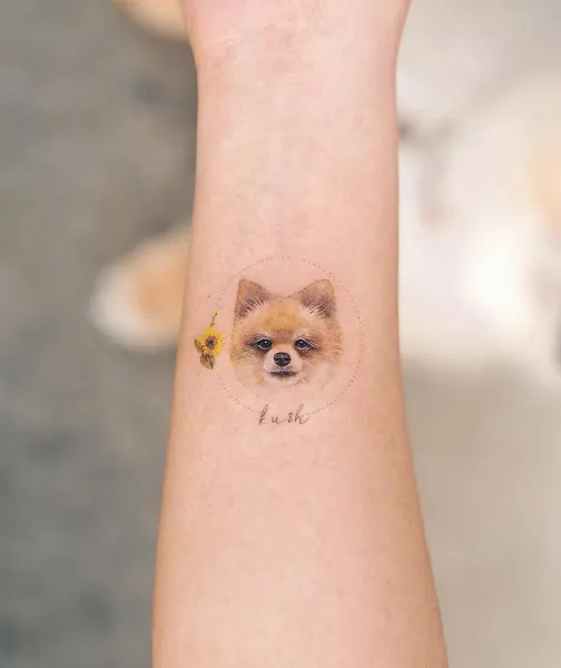 판다