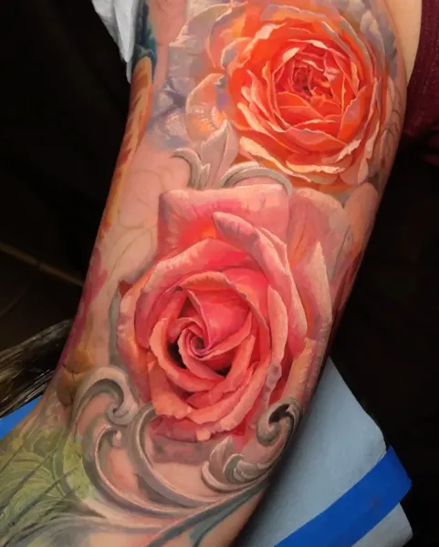 Flower, Rose, Nature