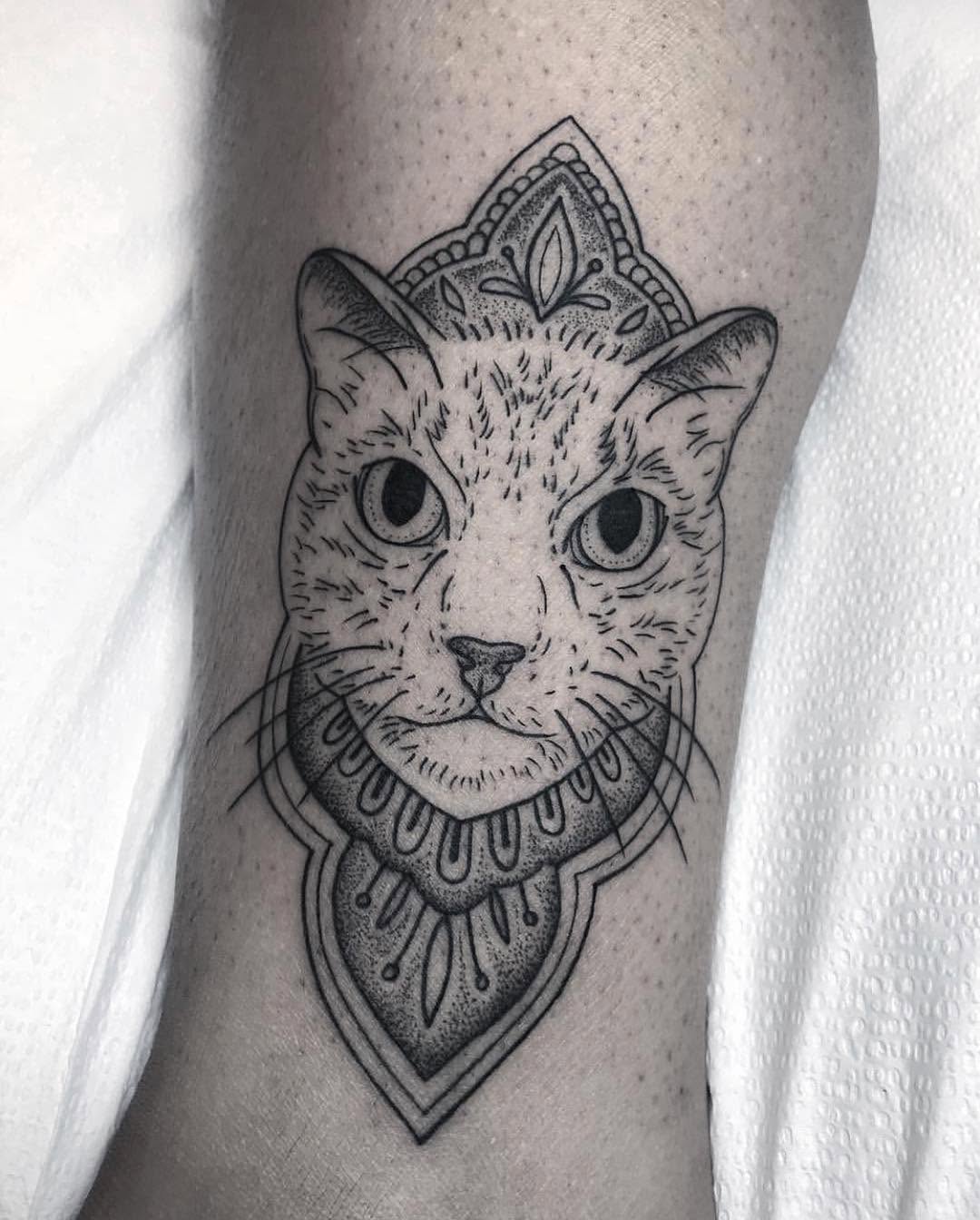 Animal